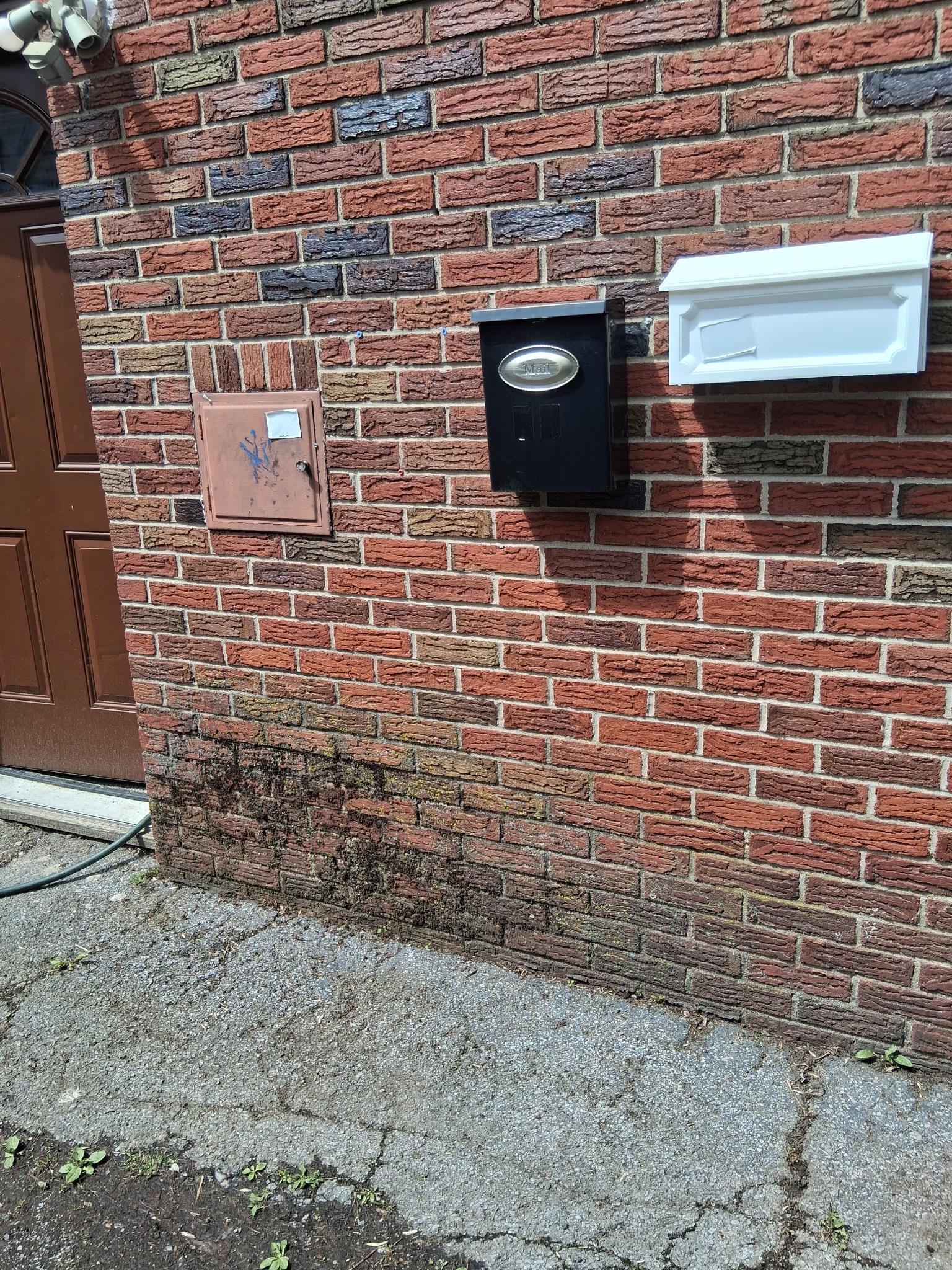 House washing vinyl siding