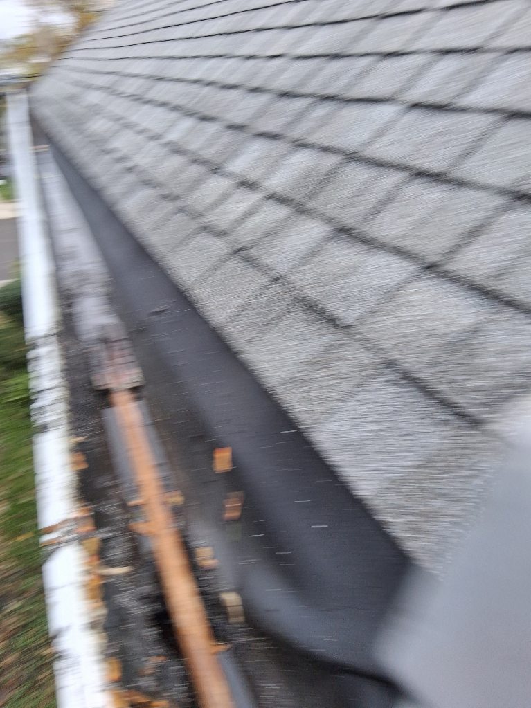 Exterior cleaning project