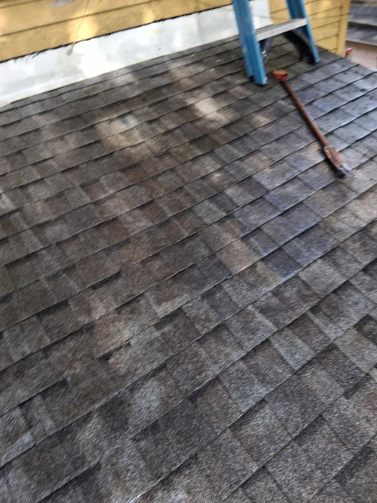 Exterior cleaning project