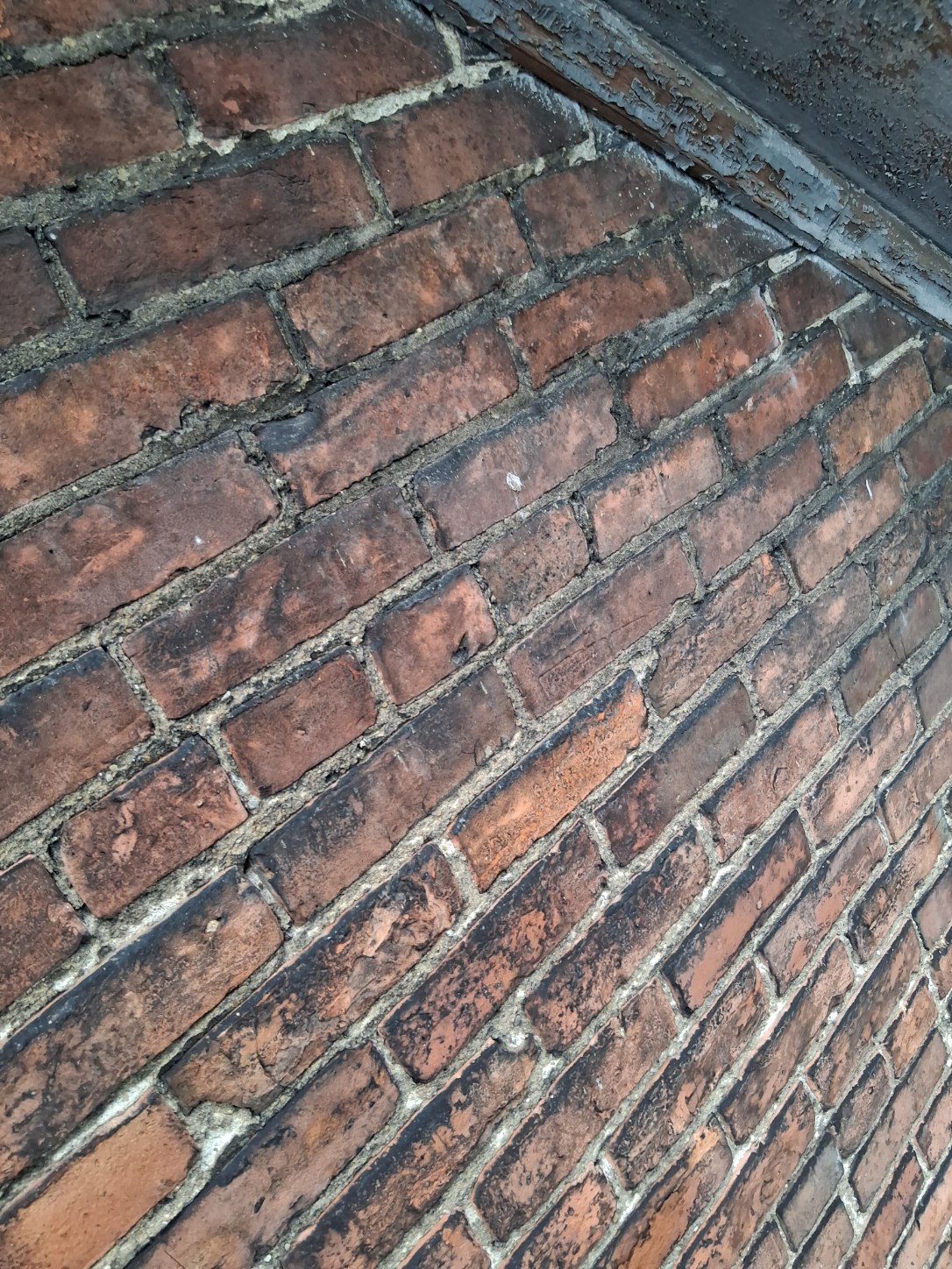 Exterior cleaning project