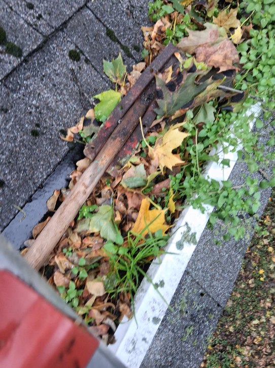 Exterior cleaning project