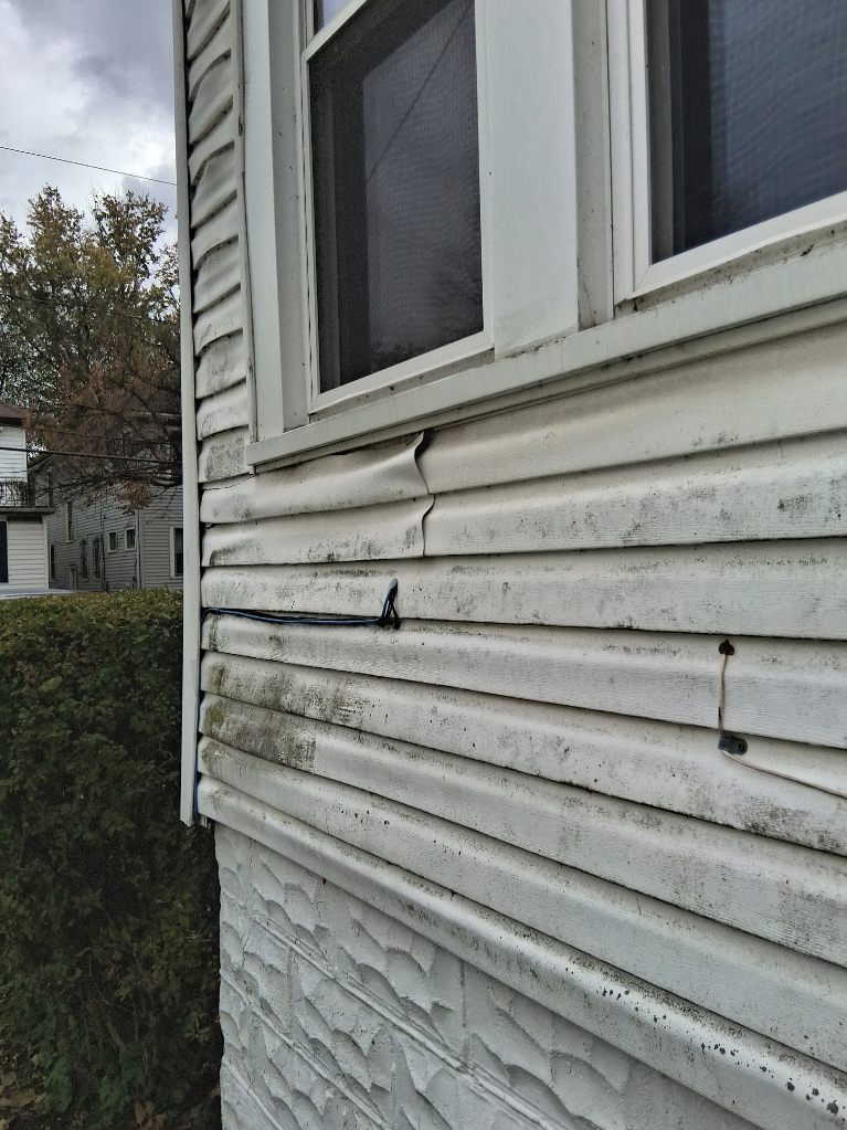 Exterior cleaning project