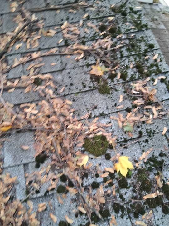Exterior cleaning project