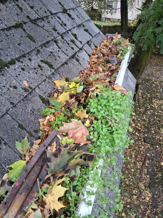 Exterior cleaning project